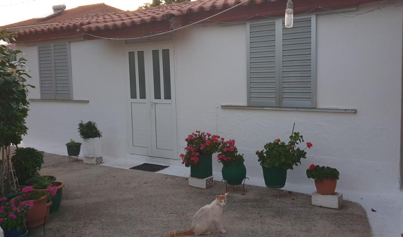 Mitikas Cosy Studio Villa Mytikas  Esterno foto