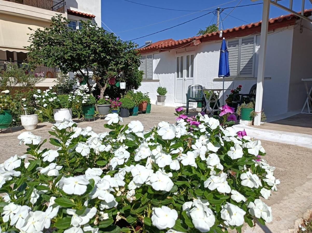 Mitikas Cosy Studio Villa Mytikas  Esterno foto