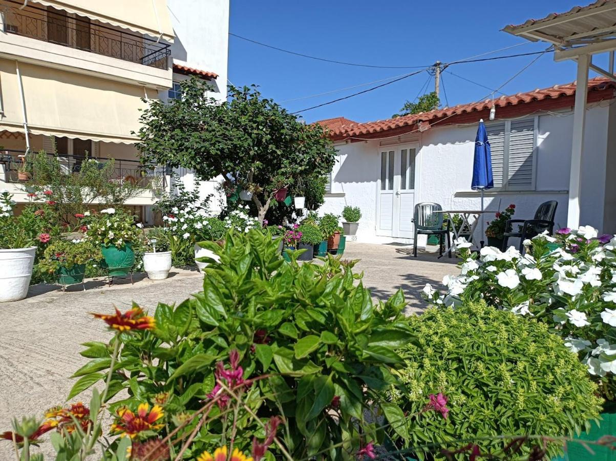 Mitikas Cosy Studio Villa Mytikas  Esterno foto